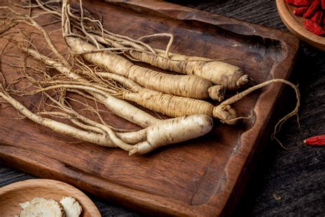 panax ginseng|panax ginseng common name.